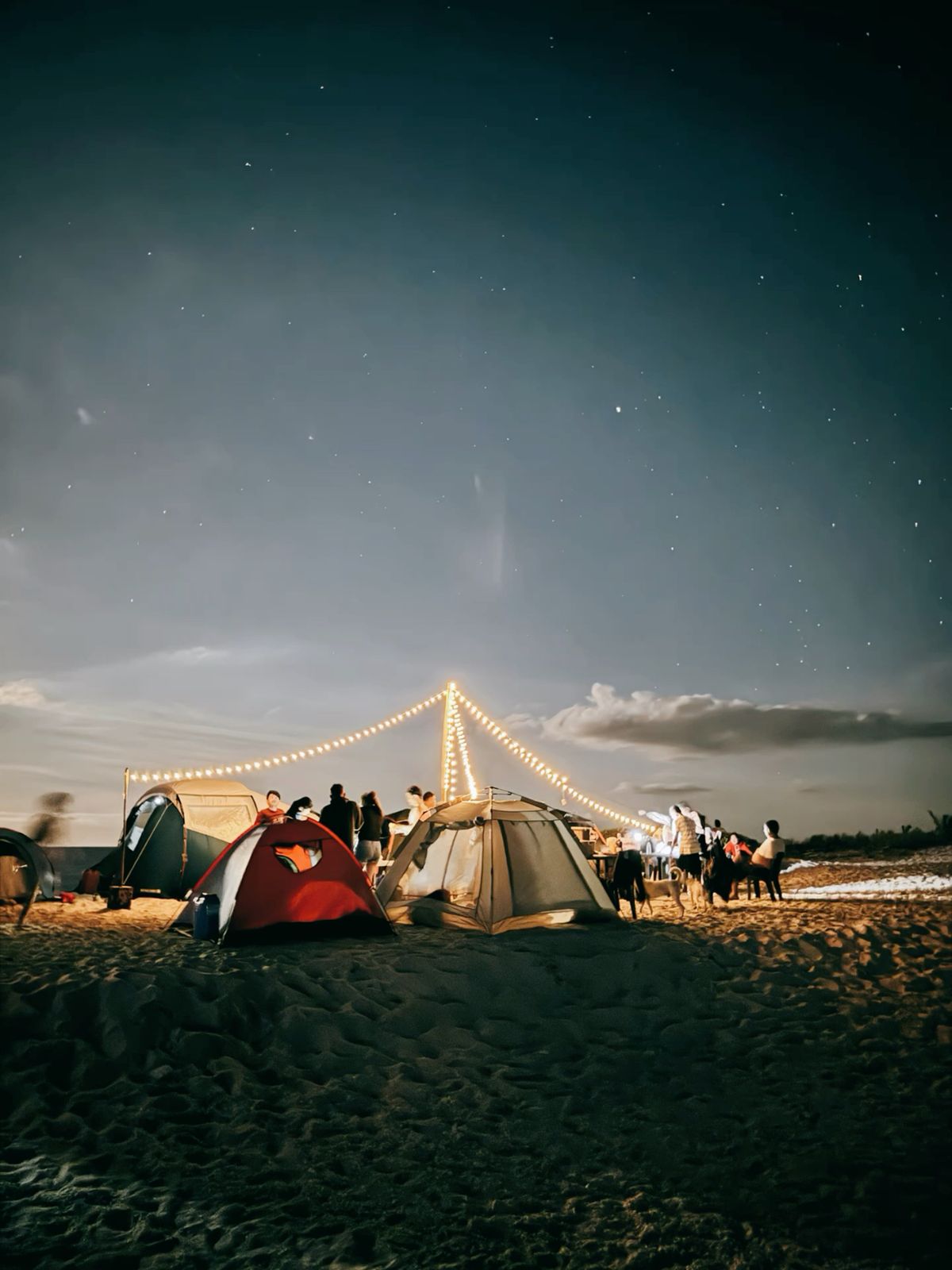 ⛺ Overnight Camping Experience